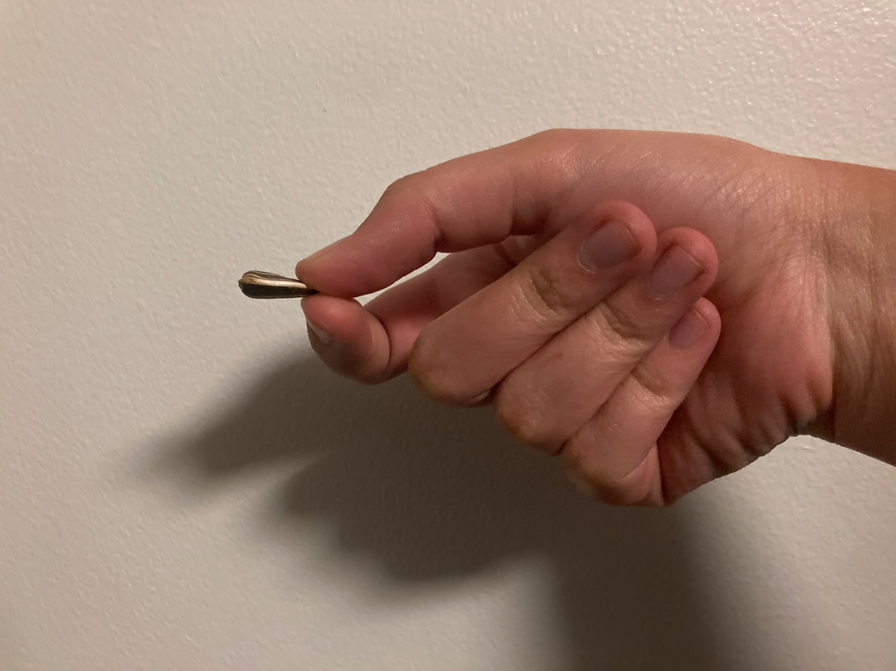 Holding seed in fingers